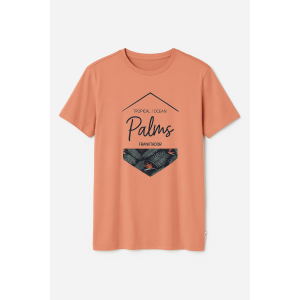 Ανδρικό Βαμβακερό T-Shirt FT-245-32 Orange