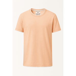 Ανδρικό Βαμβακερό T-Shirt FT-238-28 Σομόν