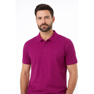 Ανδρική βαμβακερή μπλούζα Polo DJ308-38 Violet